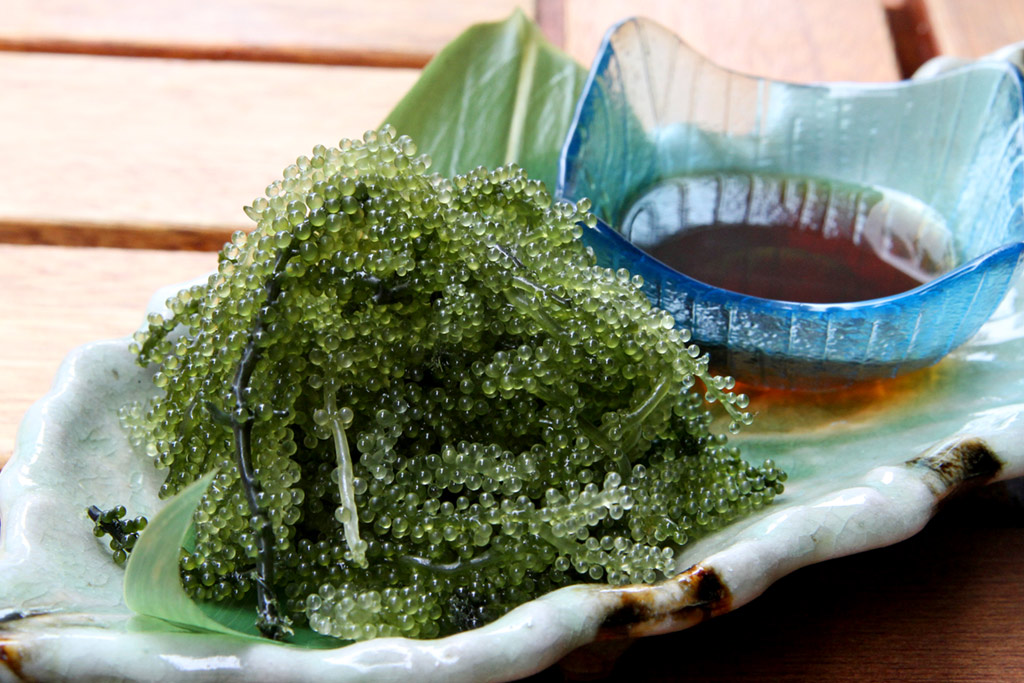 ぷちぷちとした食感が癖になる沖縄名物の海ぶどう